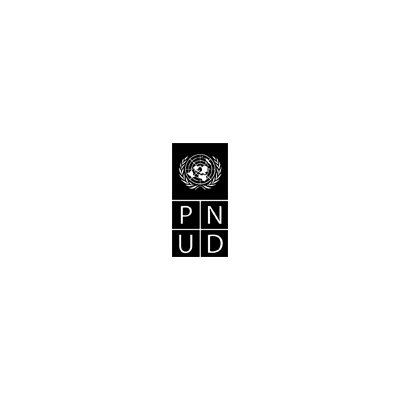undp